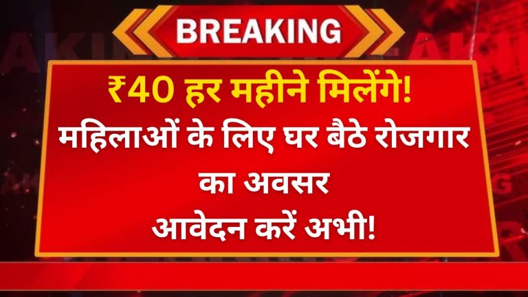 मुख्यमंत्री वर्क फ्रॉम होम योजना